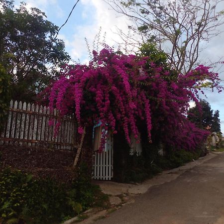 Ly'S Homestay Gia Nghĩa エクステリア 写真