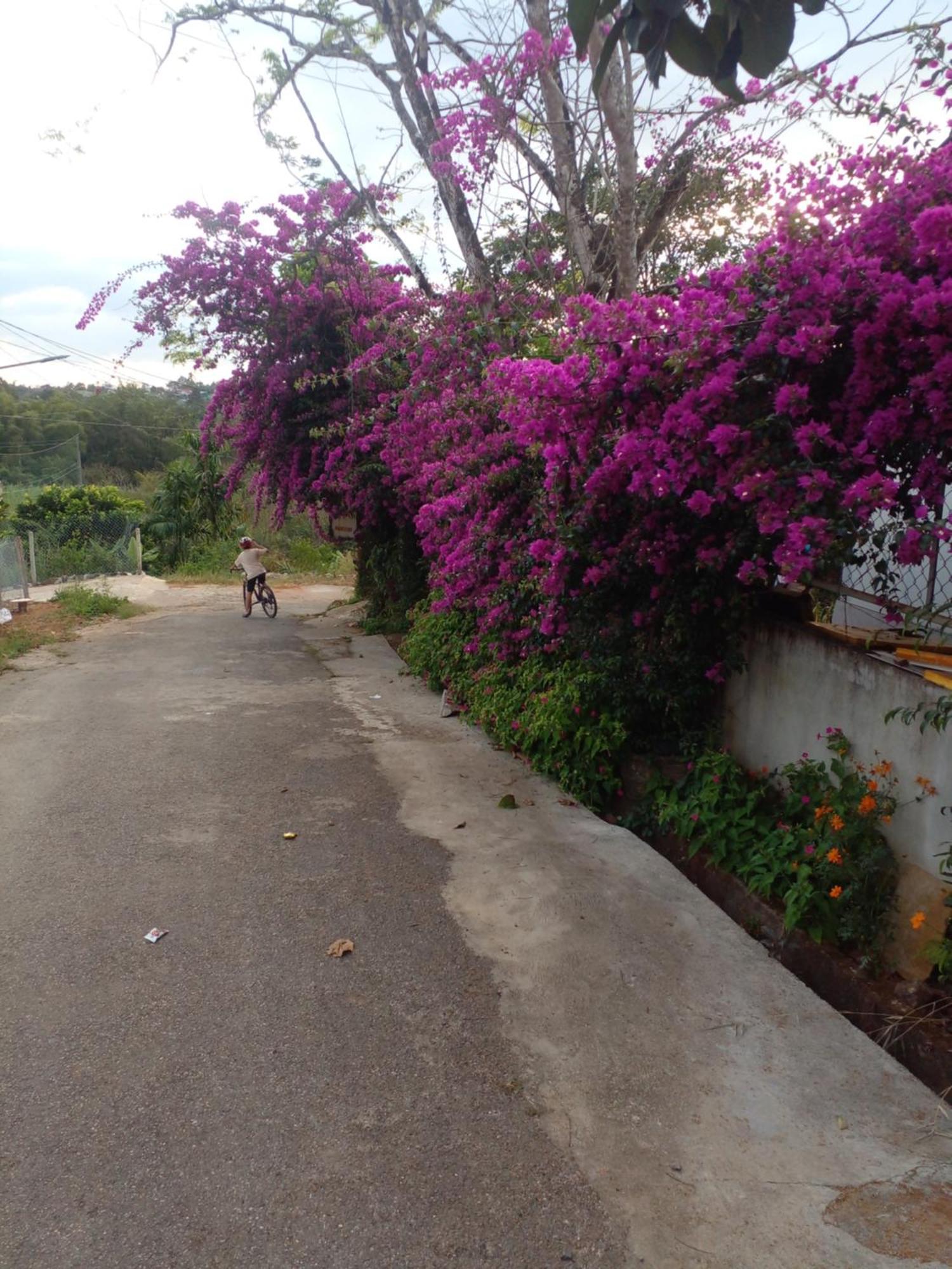 Ly'S Homestay Gia Nghĩa エクステリア 写真