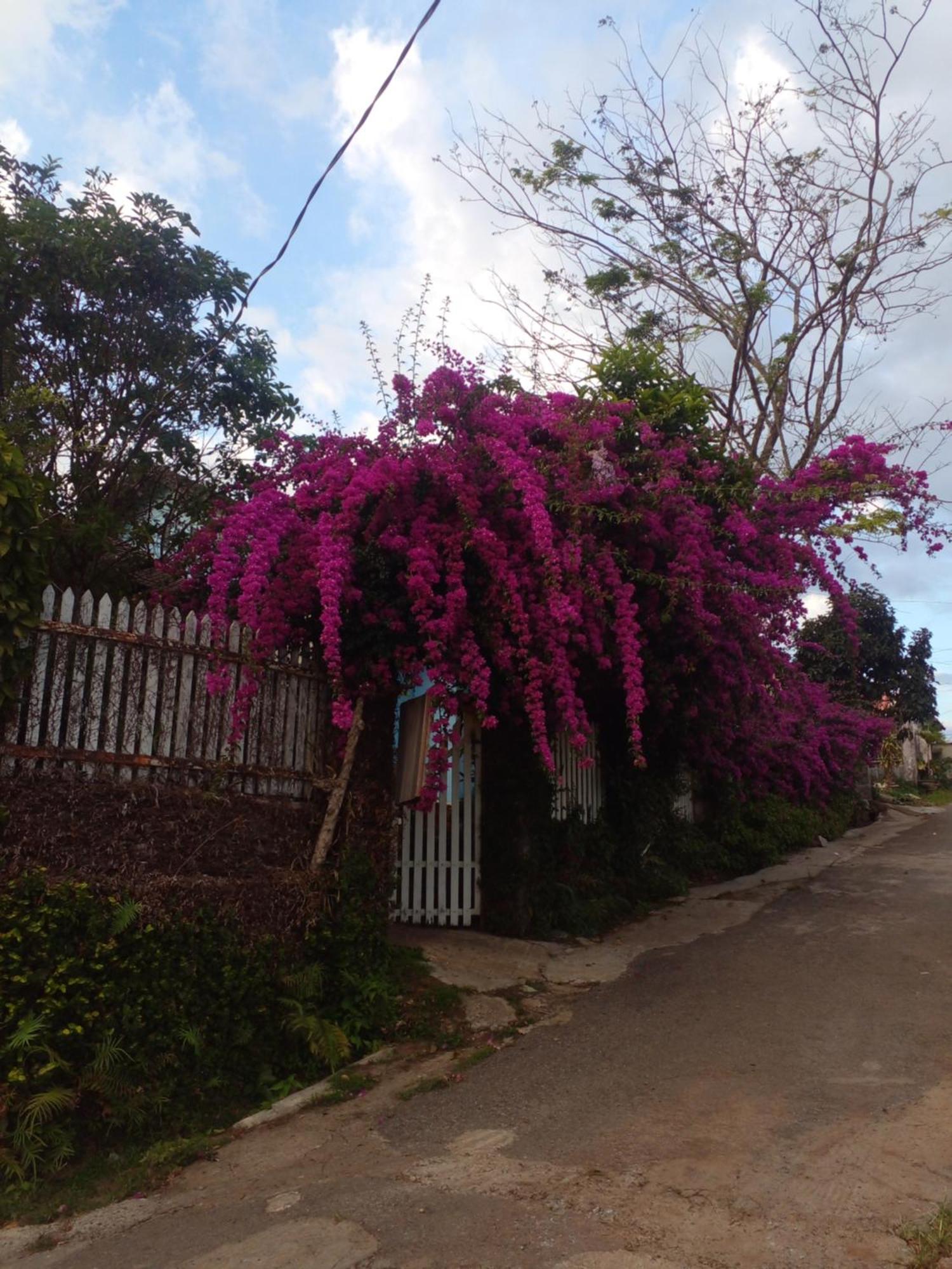 Ly'S Homestay Gia Nghĩa エクステリア 写真